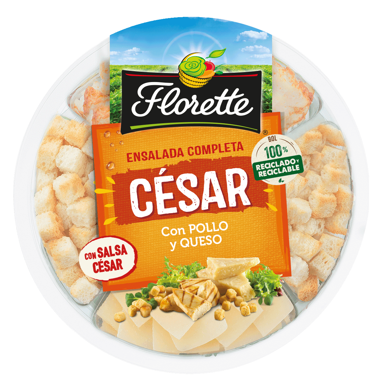 EC-Cesar-1250×1250 (2)