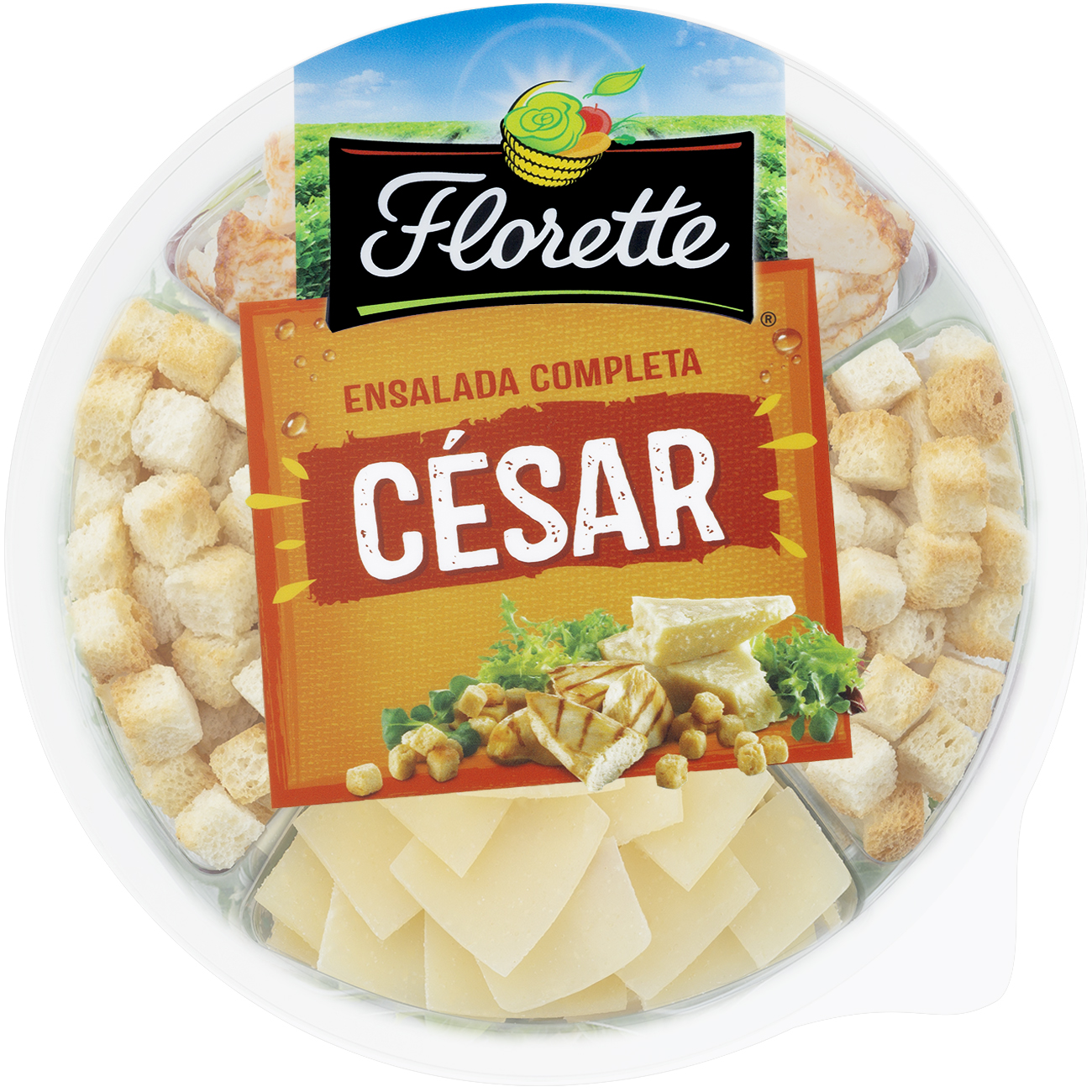 EC Cesar-1300×1300-Tapa