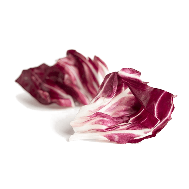 Radicchio-Ingrediente-Productos