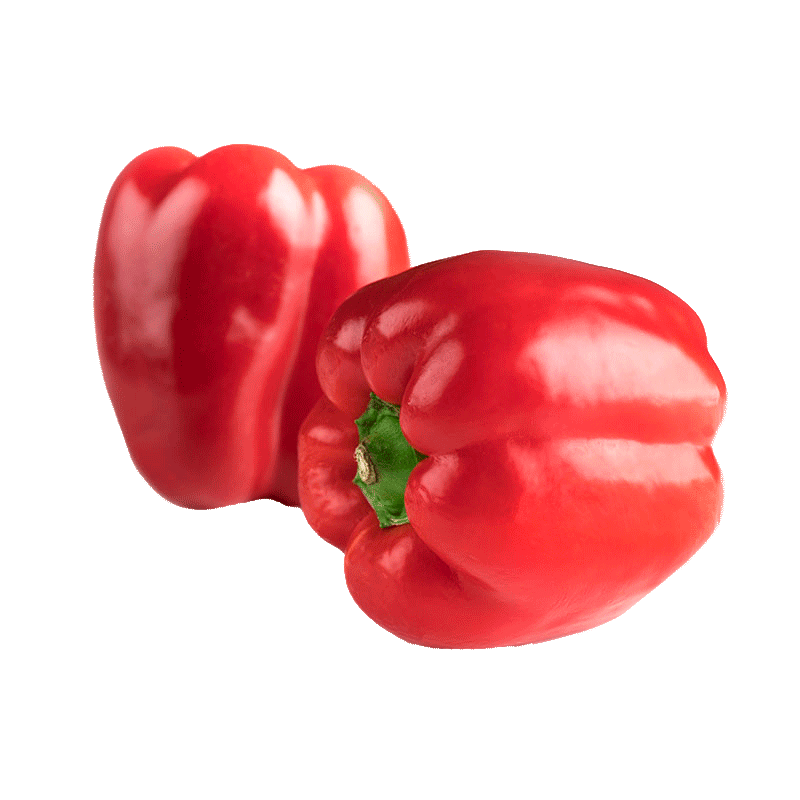 FLO-FOT-19012.31_pimiento-rojo