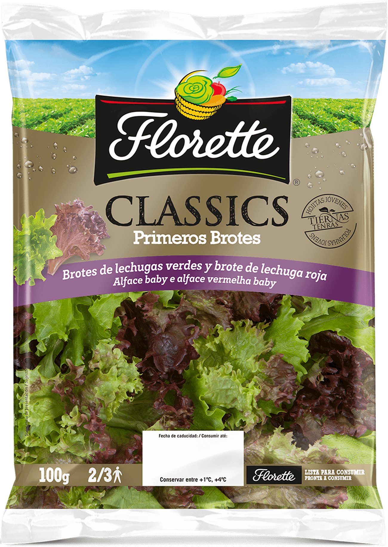 Primeros Brotes Classics Primeros Brotes-1300px
