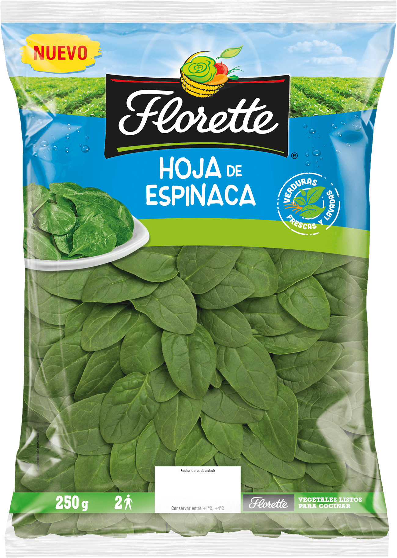 Verduras Espinacas-1300px