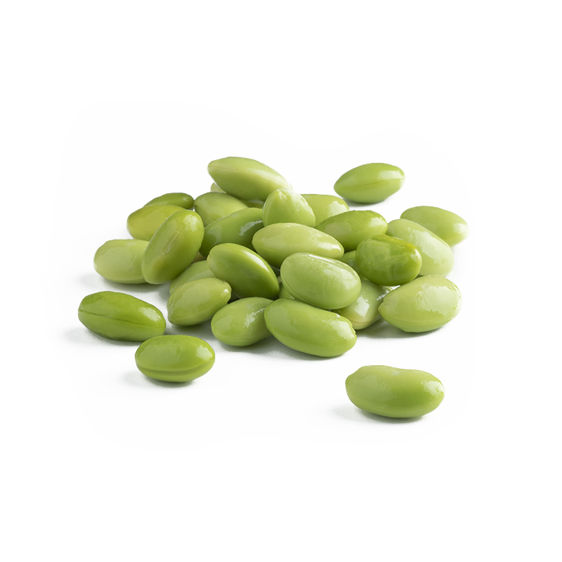 FLO FOT 20003.5_Edamame 800×800
