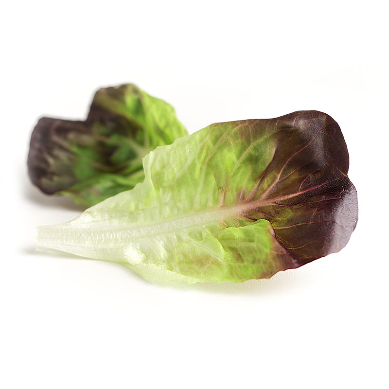 Trocadero rojo- Ingrediente Productos