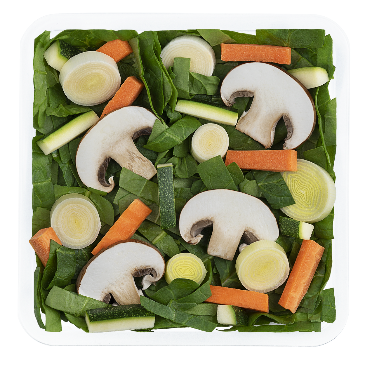 Micro Italiana-1250×1250-ensalada