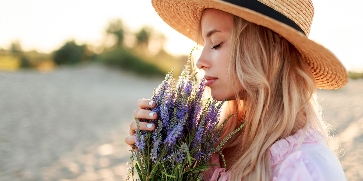 aromas plantas