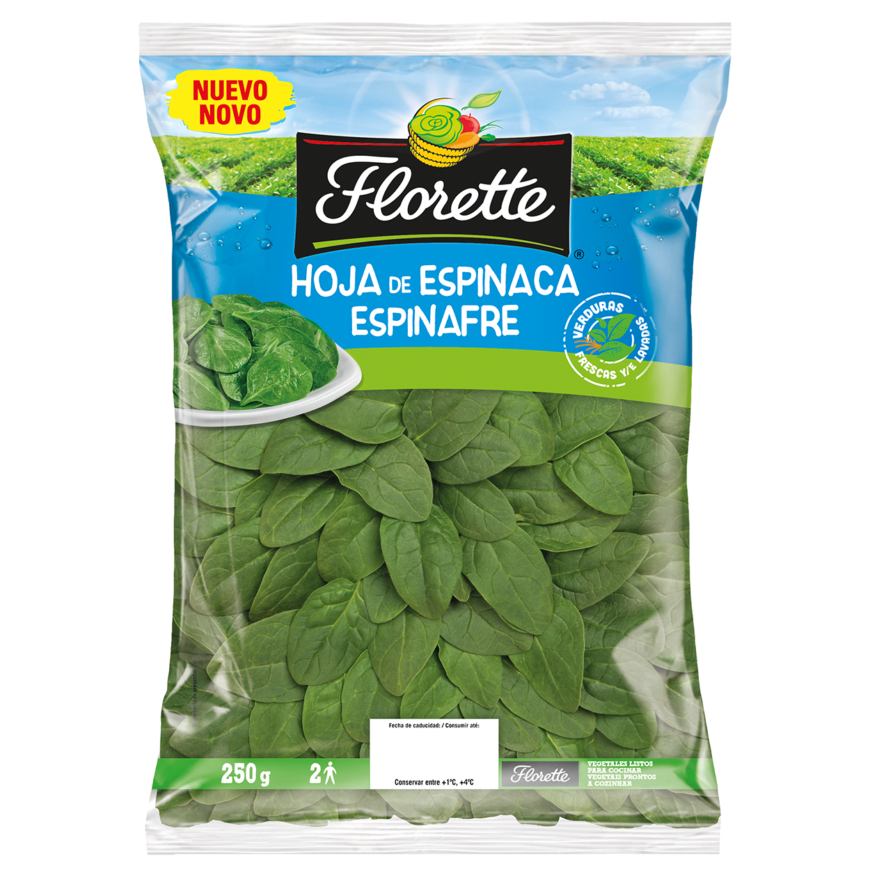 beneficios de la espinaca beneficios de la espinaca